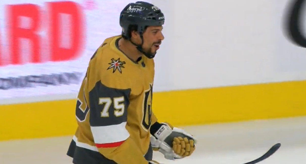 Role Reversal Ryan Reaves scores clutch goal while teammates brawl